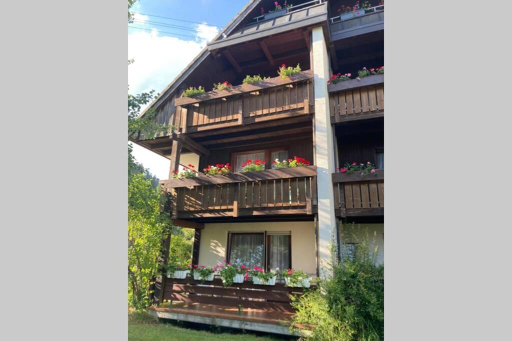 Gemuetliche Ferienwohnung In Sankt Blasien 外观 照片