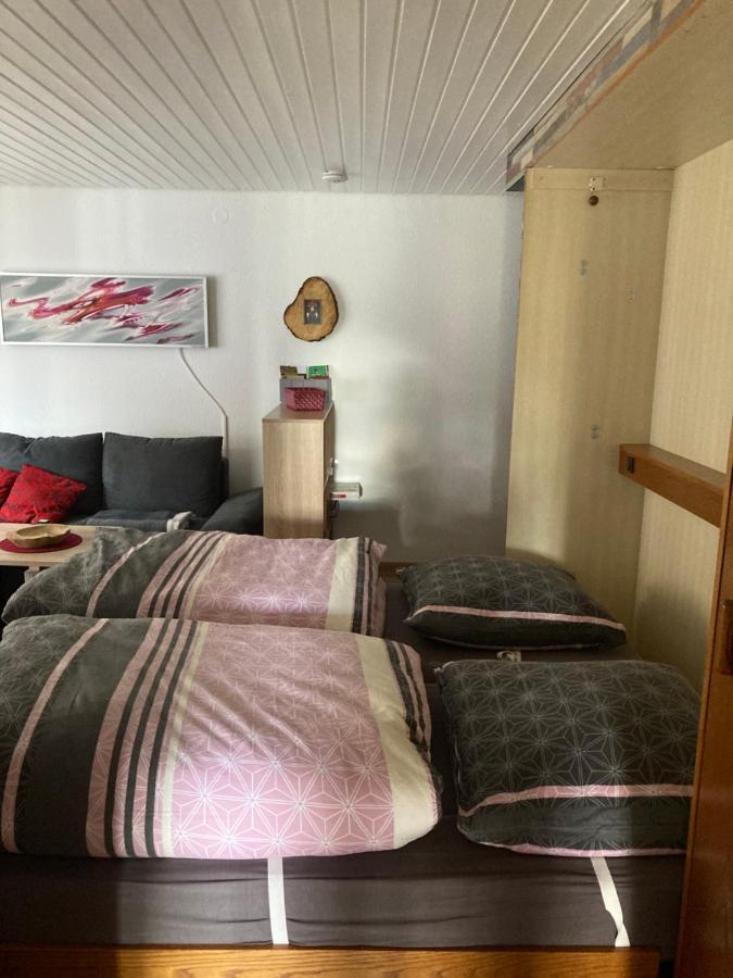 Gemuetliche Ferienwohnung In Sankt Blasien 外观 照片
