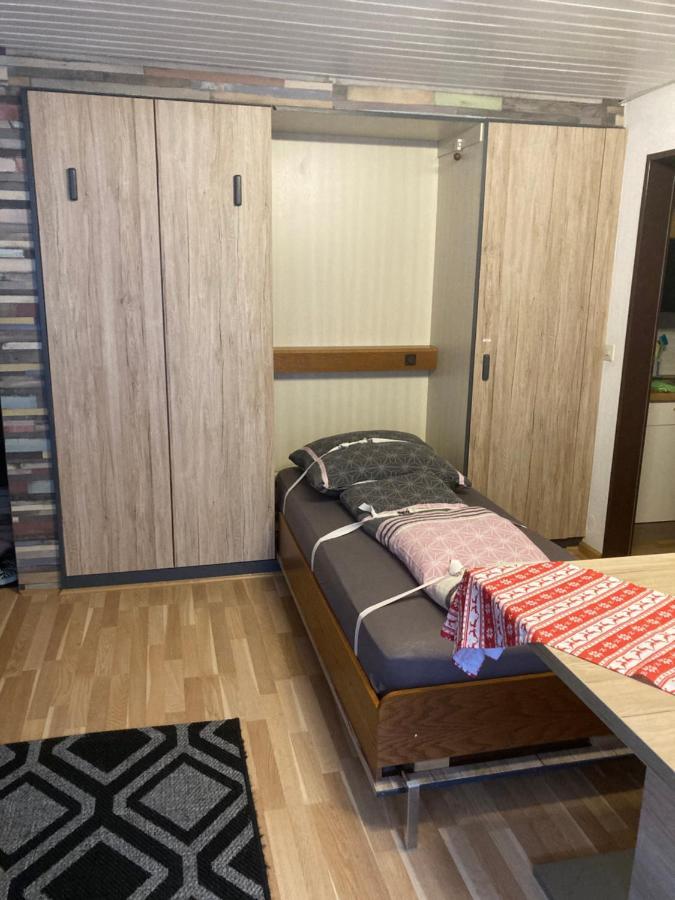 Gemuetliche Ferienwohnung In Sankt Blasien 外观 照片