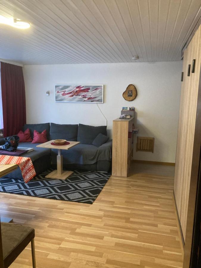 Gemuetliche Ferienwohnung In Sankt Blasien 外观 照片
